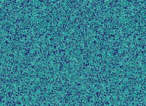 Terrazzo Caribbean
