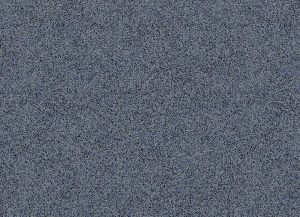 Grey Bonair